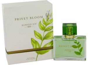 Privet Bloom Perfume, de Hampton Sun · Perfume de Mujer