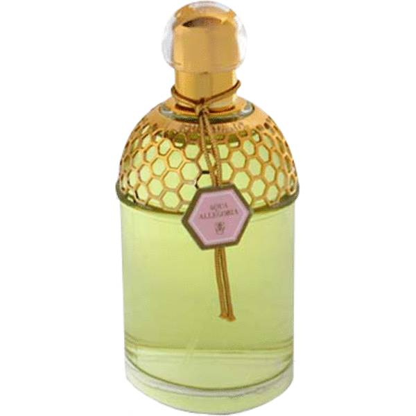 perfume Aqua Allegoria Rosa Magnifica Perfume