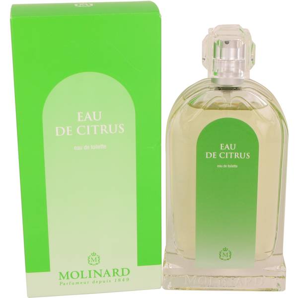perfume Eau De Citrus Perfume
