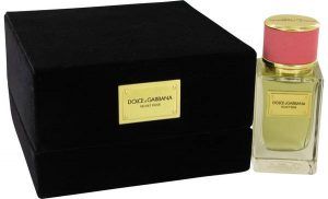 Dolce & Gabbana Velvet Rose Perfume, de Dolce & Gabbana · Perfume de Mujer Dolce & Gabbana Velvet Rose Perfume, de Dolce & Gabbana · Perfume de Mujer
