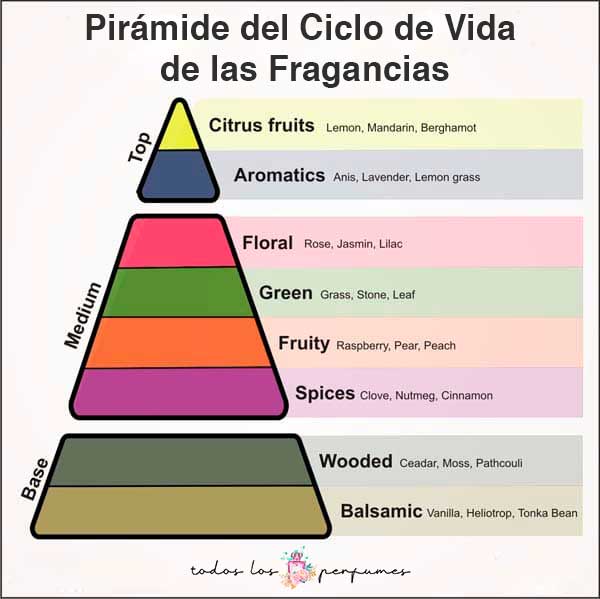 pirámide del ciclo de vida de las Fragancias - todos los perfumes