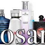 Glosario y guía básica de terminos de perfumes - todos los perfumes